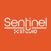 Sentinel Studio logo - Similar company to Sector Web