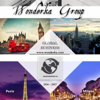 Wonderka Group (华栋集团) logo - Similar company to Ny 770