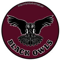 Association Black Owls logo - Similar company to Prism Bsb