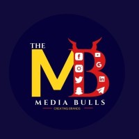 THE MEDIA BULLS logo - Similar company to Social Bull