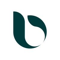 Bellum Capital logo - Similar company to Knox Digital