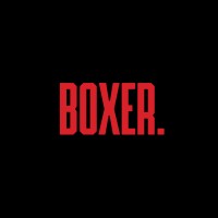 Boxer logo - Similar company to Vivid Creative