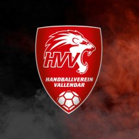 Handballverein Vallendar logo - Similar company to Cm Recruiting