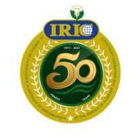 International Relations Institute of Cameroon logo - Similar company to Morio Consulting