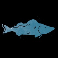 Trophy Fish