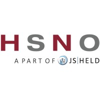 HSNO logo - Similar company to Left Brain Group