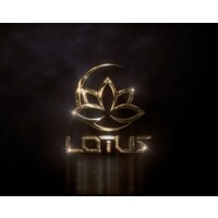 Radiance Lotus International General Trading L.L.C logo - Similar company to Digital Core Solutions