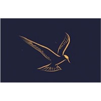 Sandpiper Trading Corporation logo - Similar company to Finsec Associates