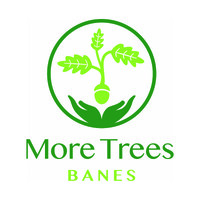 More Trees for Bath and North East Somerset logo - Similar company to The Life Project (Bath)