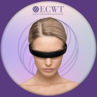 European Centre for Women and Technology (ECWT) logo - Similar company to Digital Coalition