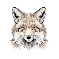 Fox Smith Associates logo - Similar company to Lms Partners