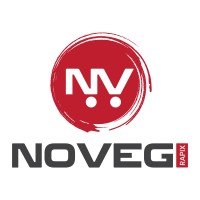 NoVegRapix logo - Similar company to Athenaagent