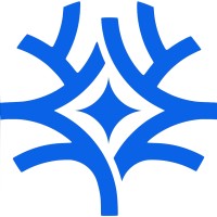 Genesis Northstar logo - Similar company to Aramis Feeling