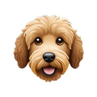 The Curly Doggo Company logo - Similar company to Screencrib