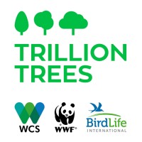 Trillion Trees - BirdLife, WCS, WWF logo - Similar company to Trinity United Methodist Church