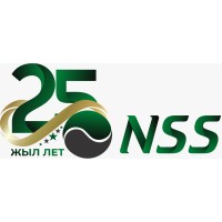 NSS (NefteStroiService Ltd) logo - Similar company to Communications Ltd
