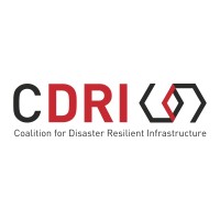 Coalition for Disaster Resilient Infrastructure logo - Similar company to Senapred