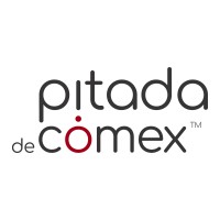 Pitada de Comex logo - Similar company to Learn Comex
