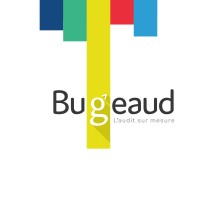 Audit Bugeaud logo - Similar company to Kapsens