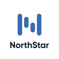 North Star Insights logo - Similar company to Datadvise - Market Research