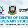 TETFUND Centre of Excellence for Multidisciplinary Studies-UI logo - Similar company to Nexim