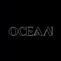 Ocean İnşaat logo - Similar company to Skymeta Software Company