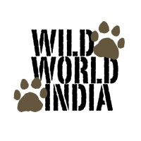 Wild World India
