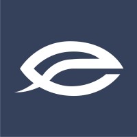 Expert Eye Engineering logo - Similar company to Experteye