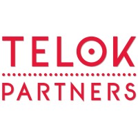 Telok Partners logo - Similar company to Telok Partners