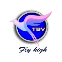 TRAVEL BIRD VACATIONS logo - Similar company to Reform Virtual
