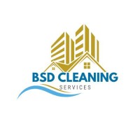 BSD Cleaning logo - Similar company to Siata Ds, Inc.