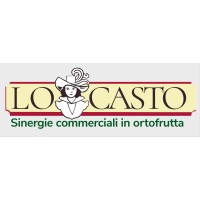 Lo Casto S.r.l. logo - Similar company to Coppola Patate