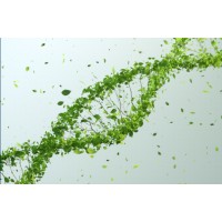 Sathyabama Alumni of Department of Biotechnology logo - Similar company to Spic Biotechnology Division