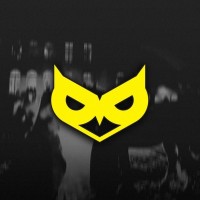 Owland logo - Similar company to Owland Studio