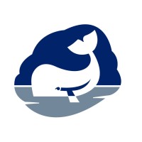 Whale logo - Similar company to Bpj Group