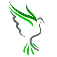 Ruddy Nice logo - Similar company to Dset