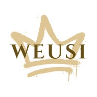WEUSI Ltd logo - Similar company to Datatoko