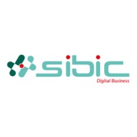SIBIC : the new digital horizons logo - Similar company to Deltalog