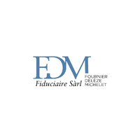 FDM Fiduciaire Sàrl logo - Similar company to Hls & Partner Sa