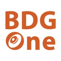 BDG One logo - Similar company to Wireelite
