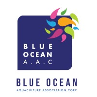 blueocean aquaculture association corp. logo - Similar company to Amously (에이머슬리)
