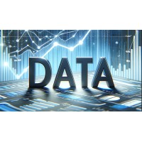 Data with Decision logo - Similar company to Flip To Tech
