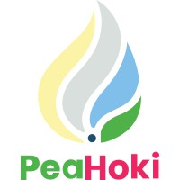PEAHOKI VN CO logo - Similar company to Plus Team Global