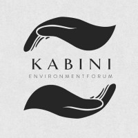 Kabini logo - Similar company to Pixie