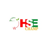 HSEChamp logo - Similar company to Classic Executive Recruiting