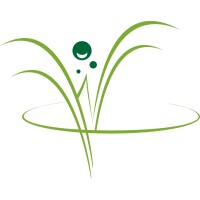 Willow Wellness Center