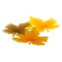 Jipl Software