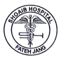 Shoaib Hospital logo - Similar company to Mon Therapy
