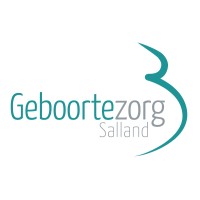 Geboortezorg Salland logo - Similar company to Minor Business And Data Analytics | Saxion