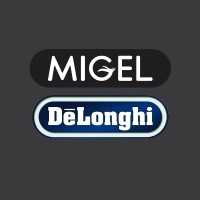 sanjehkish logo - Similar company to Smartiglass